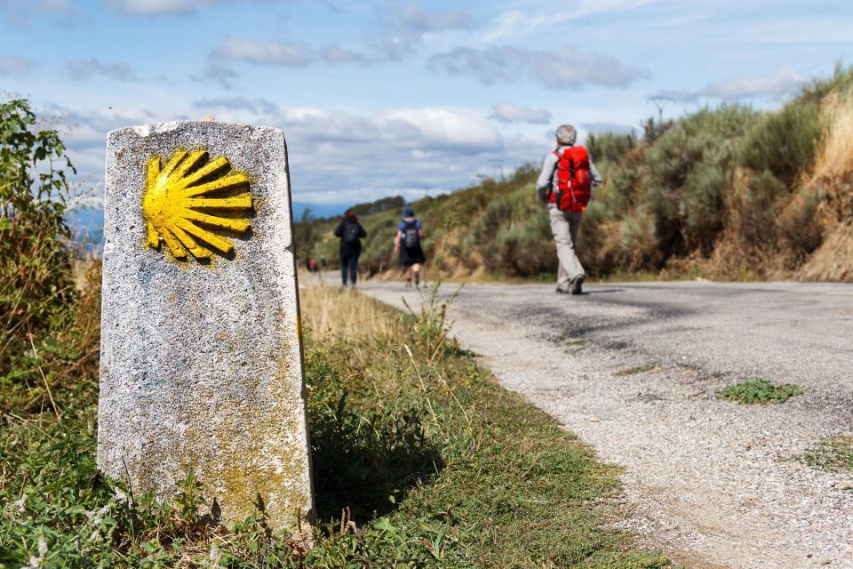 camino de santiago a compostela